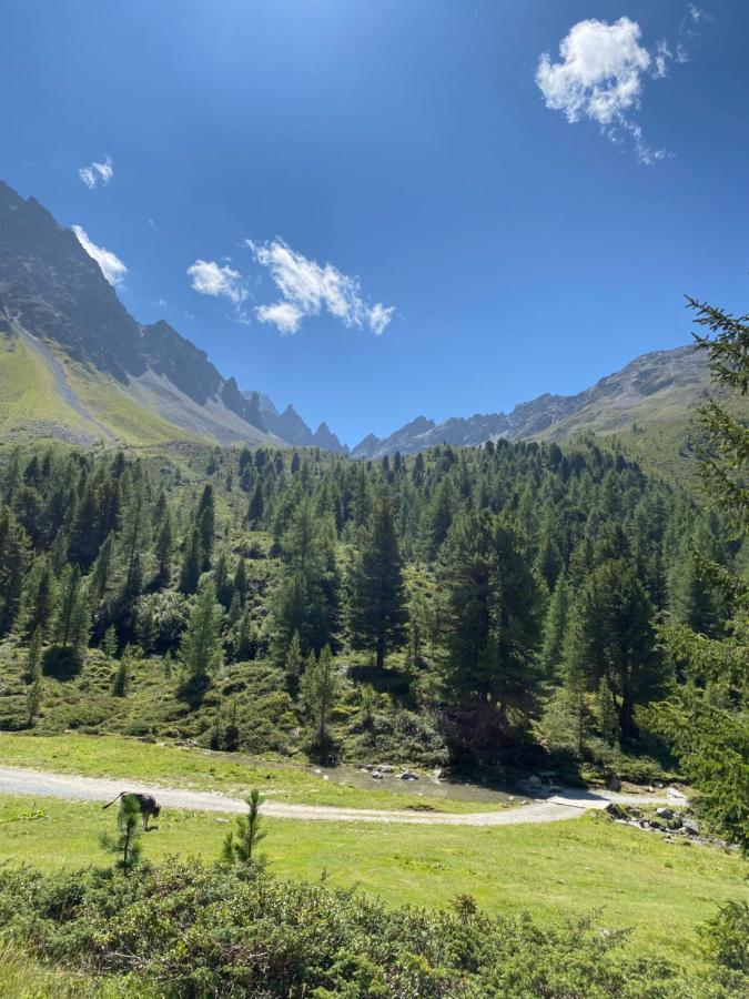 Apart Wiesenplatzl Kaunertal Dış mekan fotoğraf