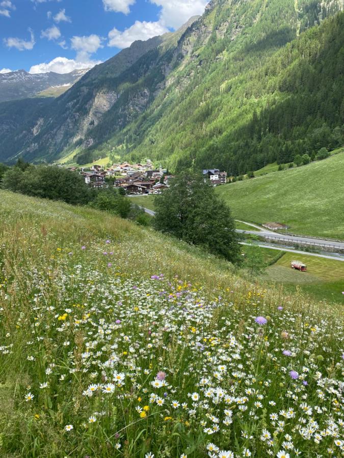 Apart Wiesenplatzl Kaunertal Dış mekan fotoğraf
