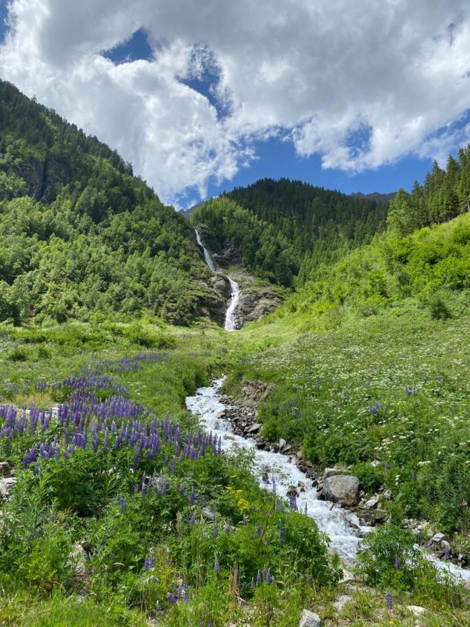 Apart Wiesenplatzl Kaunertal Dış mekan fotoğraf
